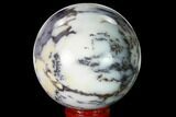 Polished Dendritic Agate Sphere - Madagascar #157641-1